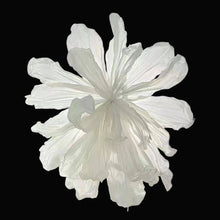 Load image into Gallery viewer, Giant Paper flower wedding backdrop wall decor