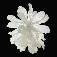Load image into Gallery viewer, Giant Paper flower wedding backdrop wall decor