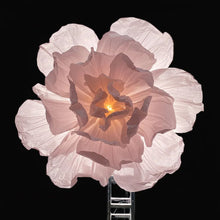 Load image into Gallery viewer, pink Giant Paper flower wedding flower backdrop