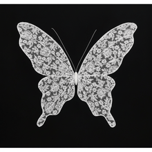 Load image into Gallery viewer, Butterfly on Black Background