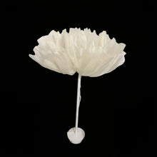 Load image into Gallery viewer, Giant flower ceiling light window display - premium event decor with auto-blooming feature