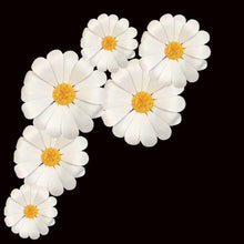 Load image into Gallery viewer, Giant waterproof EVA daisy flowers wall decor for party, wedding and event decoration - 16-24 inch reusable flower decorations