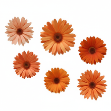 Load image into Gallery viewer, Optimized Giant Daisy Flowers in 6 Orange Colors
