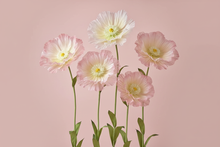 Load image into Gallery viewer, Solid Color Background - Giant Silk Flowers