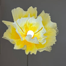 Load image into Gallery viewer, giant paper flowers