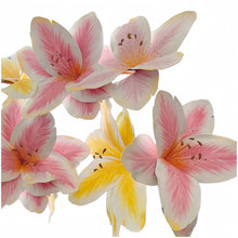 Load image into Gallery viewer, giant flower wall decorations
