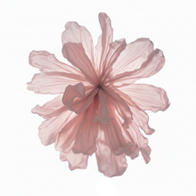 Load image into Gallery viewer, Giant blush pink paper flower birthday party decoration 
