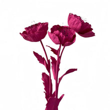 Load image into Gallery viewer, Giant Paper Flowers Arrangements Window display
