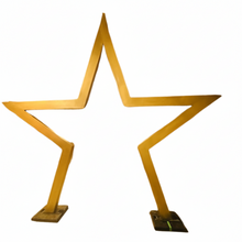 Load image into Gallery viewer, gold star backdrop for birthday party events
