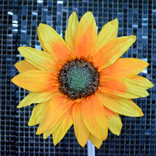 Load image into Gallery viewer, paper sunflower arrangement for window displays
